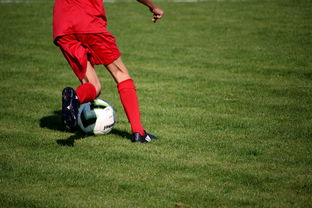 华体会登录地址-中国篮球教练员职业发展规划及培训体系，篮球教练员职业生涯规划