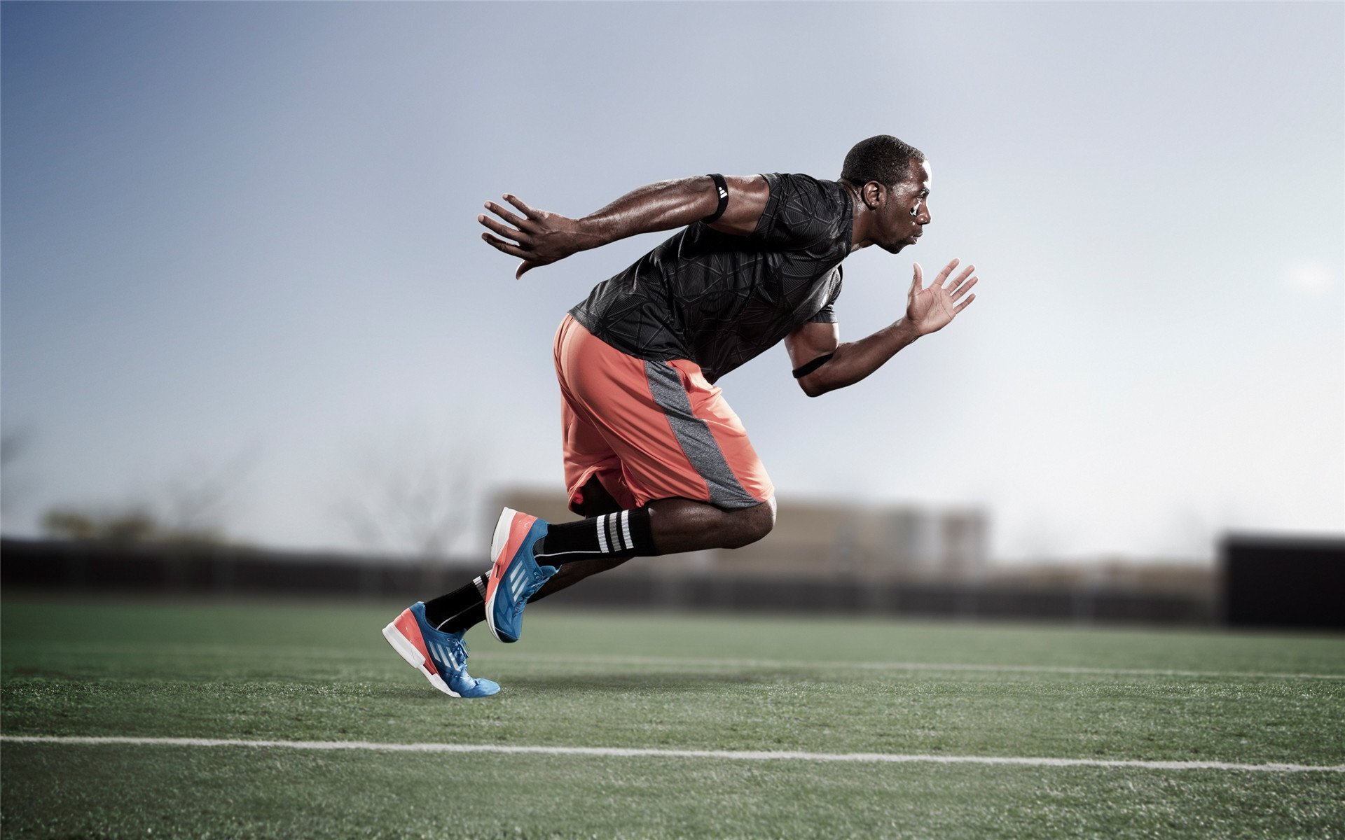 世界杯：摩洛哥球迷高喊“非洲！非洲！” 看台一侧变红绿海洋